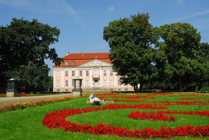 Schloss Friedrichsfelde mit Pelikan