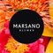 Blumen Marsano Berlin
