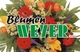 Blumen Weyer - Sonnenallee